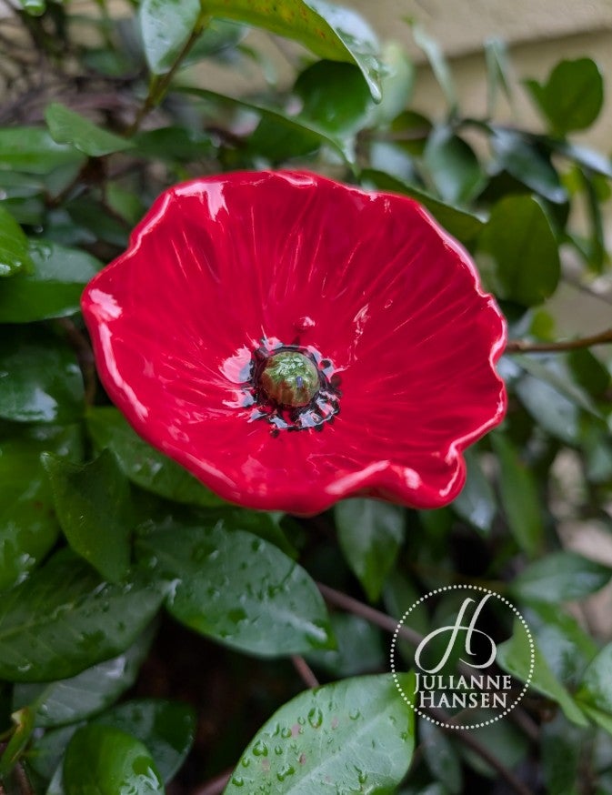 Single Poppy + Dedication 2026 | AlabamaPoppyProject.com