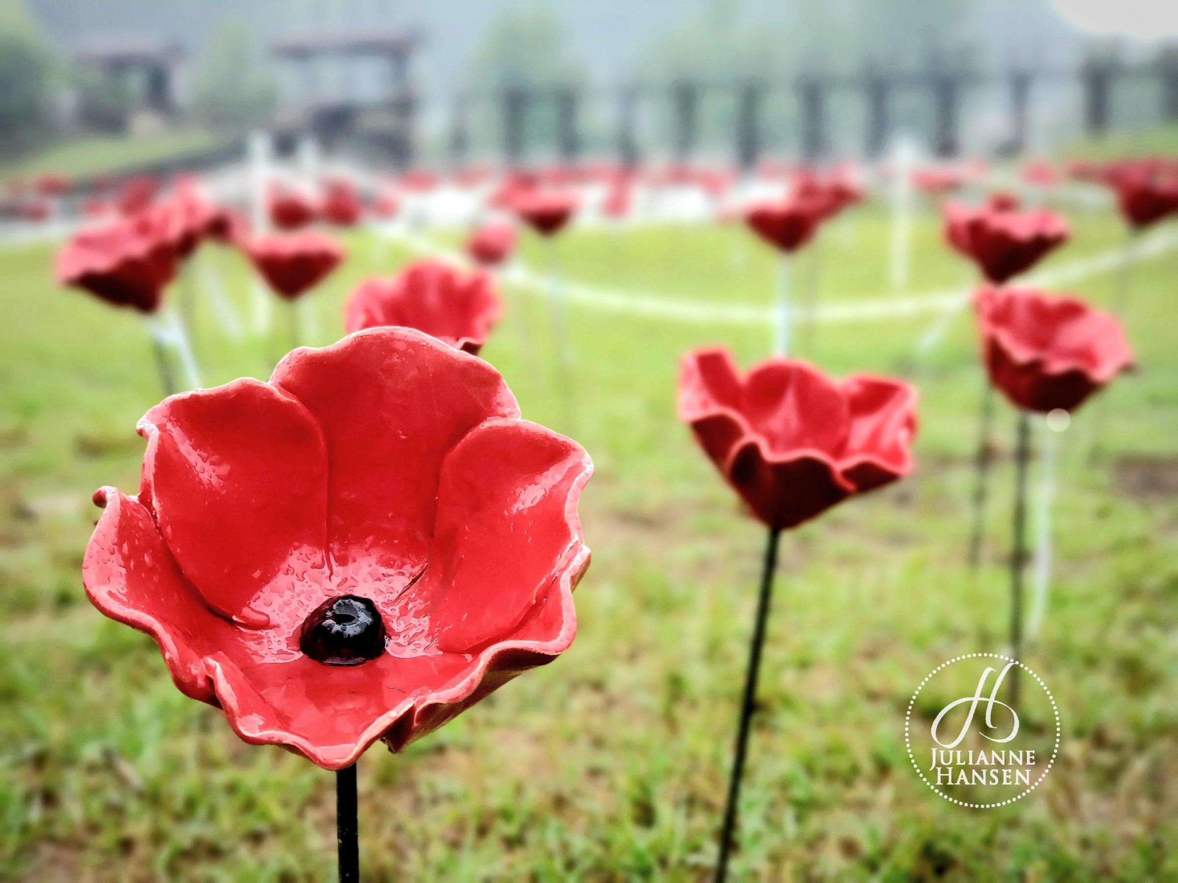 Single Poppy + Dedication 2026 | AlabamaPoppyProject.com
